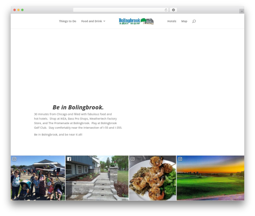 Easy Portfolio (easy-portfolio) free WordPress plugin - visitbolingbrook.com
