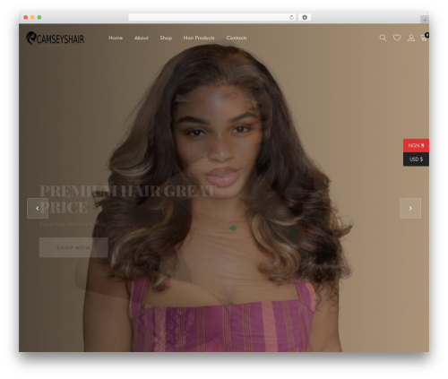 Elemix WordPress theme design - camseyshair.com