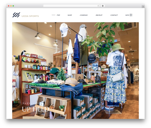 Halstein core WordPress plugin - u-sp.com