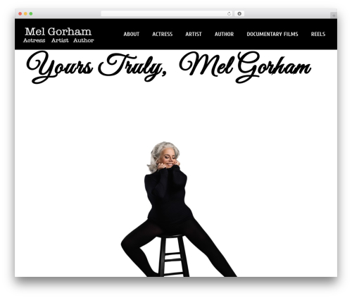 Layers pro extension WordPress plugin - melgorham.com