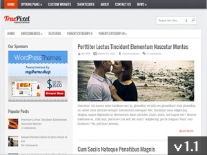 NICEDOGS WordPress theme NICEDOGS WordPress theme