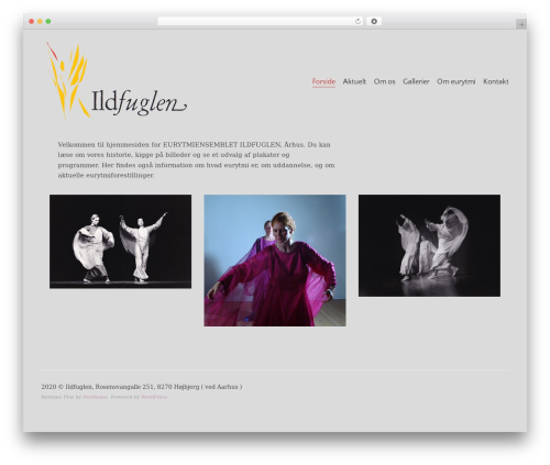 Theme WordPress Reframe Plus - eurytmi.dk