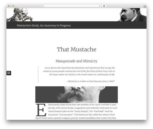 Modern Footnotes (modern-footnotes) free WordPress plugin - nietzschesbody.com