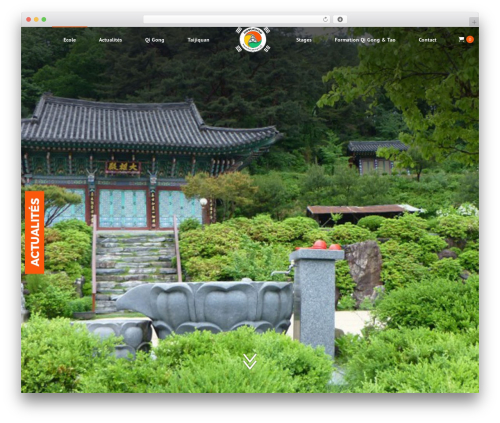 Dfd extensions WordPress plugin - hosukwan.ch