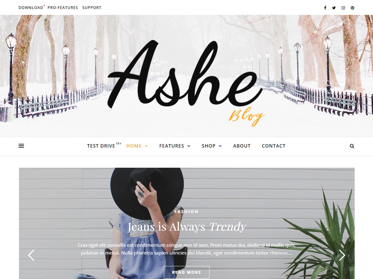 Ashe Child theme of ashe top WordPress theme