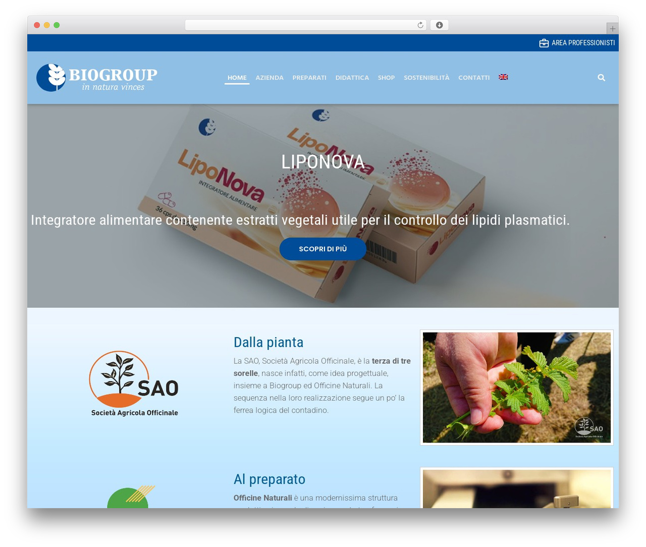 biogroup-theme WordPress theme design - biogroup.it biogroup-theme WordPress theme design - biogroup.it