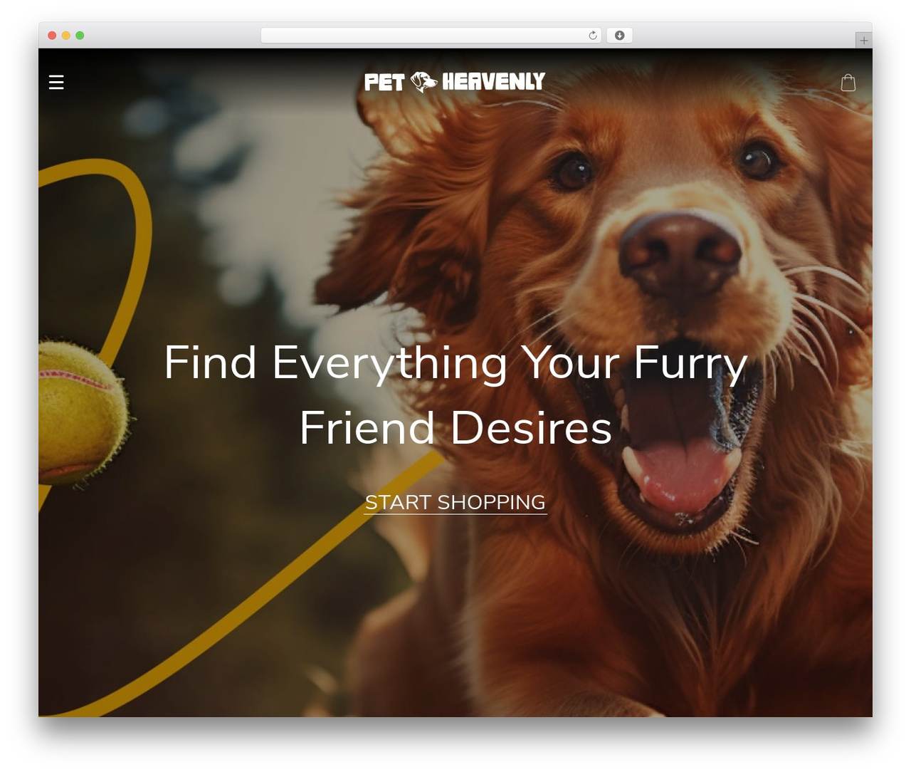 Dali WordPress theme - petheavenly.com