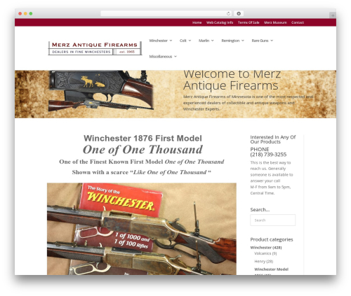 Divi theme WordPress - merzantiques.com