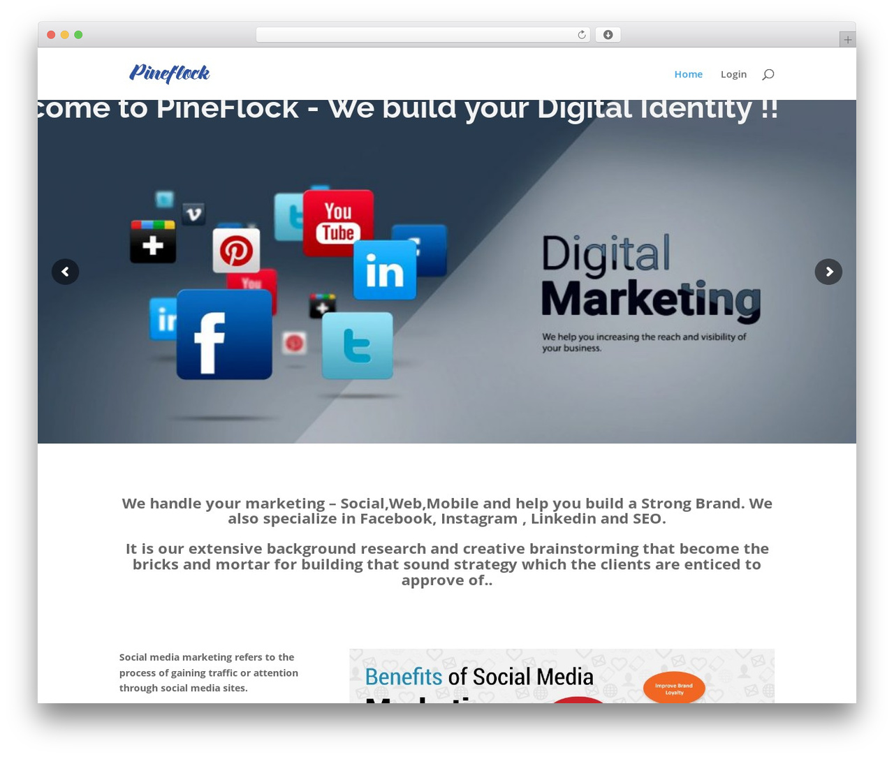 Divi WordPress theme - pineflock.com