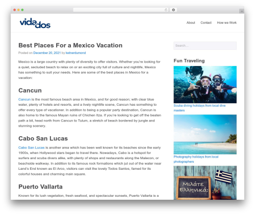 GutenStart WordPress page theme - vidados.com