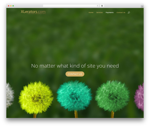 Woocommerce name your price WordPress plugin - xlerators.com