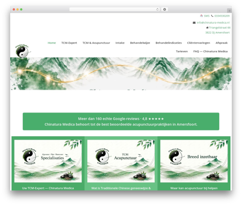 Theme WordPress theme001 - chinatura-medica.nl