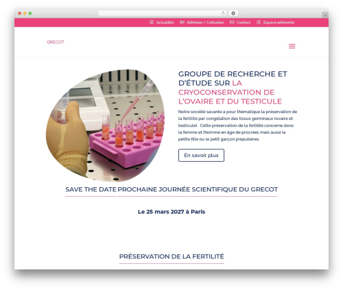 WordPress theme Divi - grecot.fr