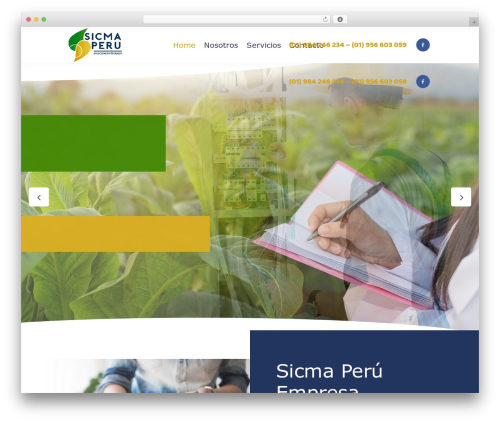 WordPress theme Lilo - sicmaperu.com