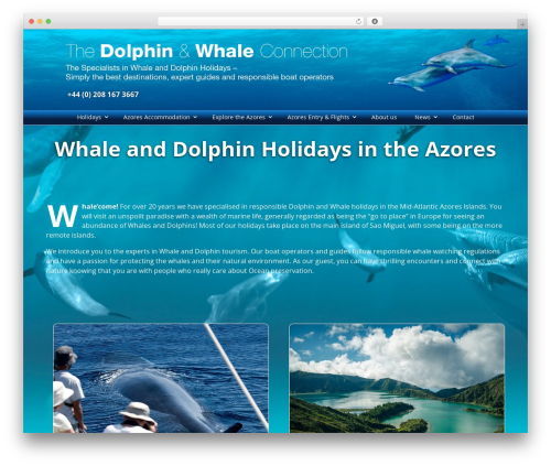 Divi testimonial slider WordPress plugin - dolphinandwhaleconnection.com