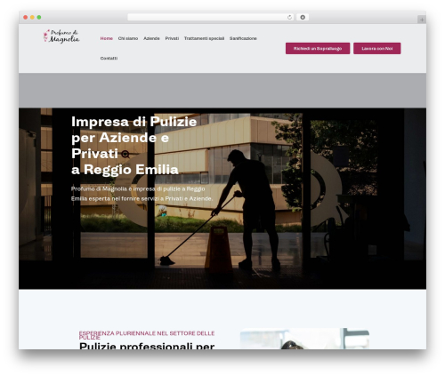 Spring statistiche WordPress plugin - profumodimagnolia.com