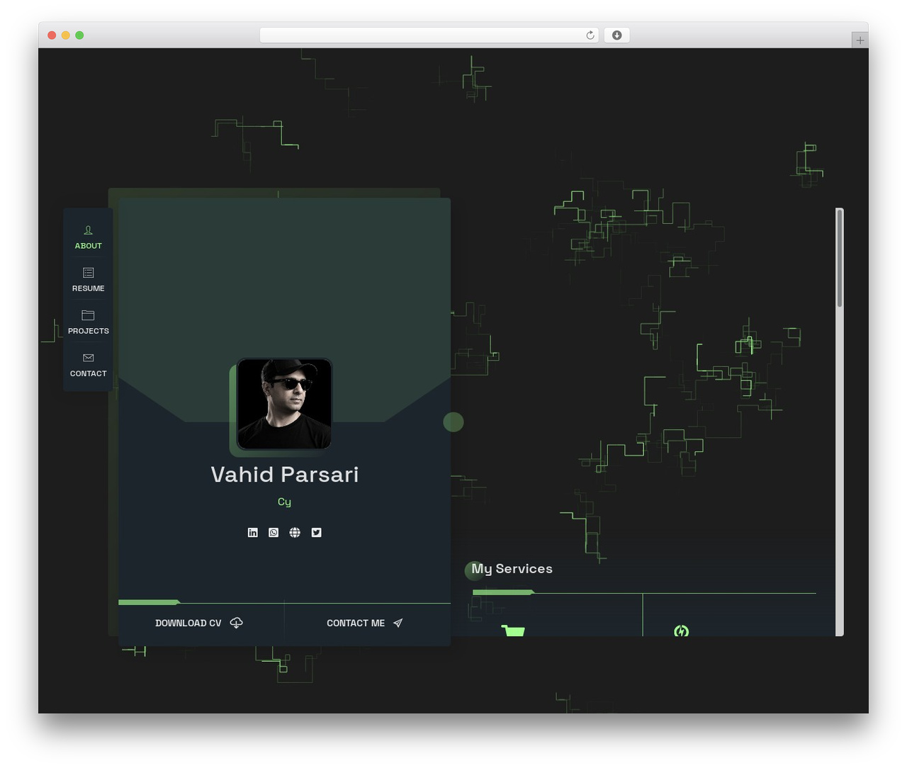 RyanCV WordPress theme - parsari.com
