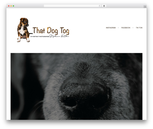 Auxin the news WordPress plugin - thatdogtog.com