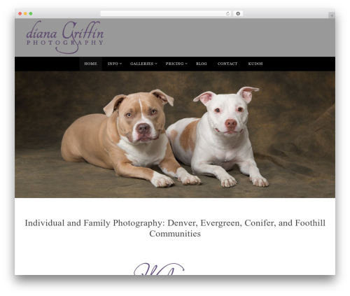 Local Search SEO Contact Page (local-search-seo-contact-page) free WordPress plugin - dgriffinphotography.com