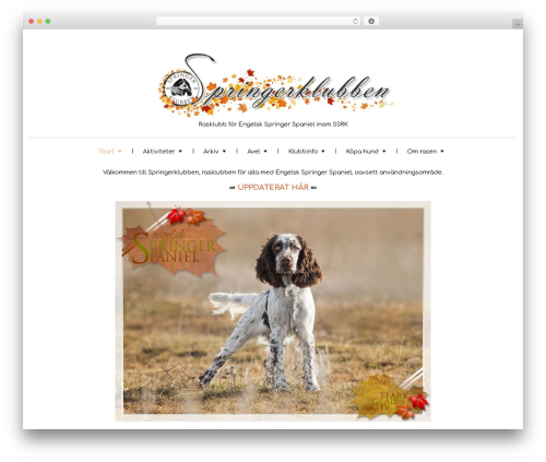 WordPress theme Wedding Planner - springerklubben.org