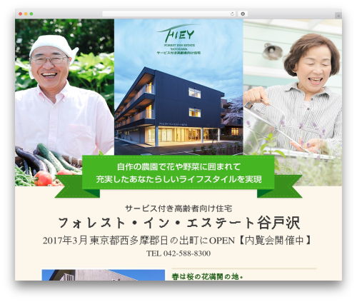 WordPress website theme Syncmedia - hashimotoshoji.net