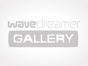 WP theme Devon Digital Imaging by goto11