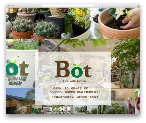 BOT WordPress theme - kbotg.com