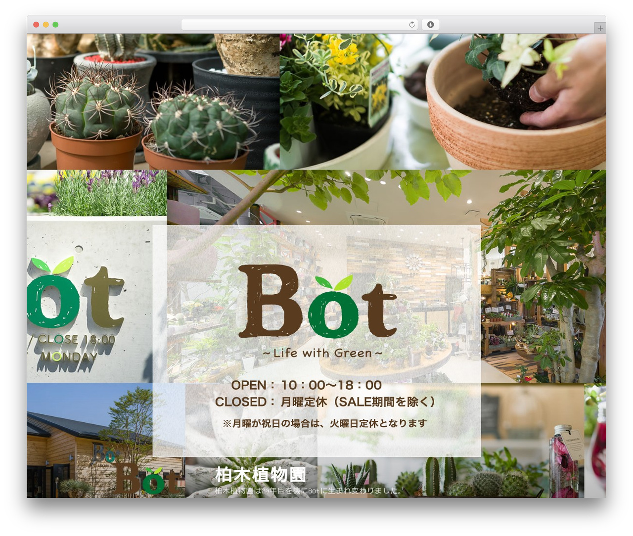 bot WordPress theme - kbotg.com