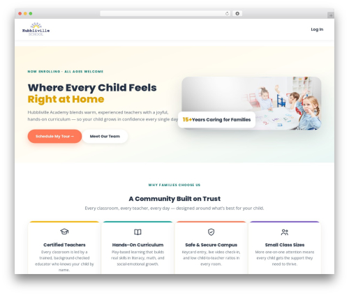 BuddyBoss WordPress theme - demo.hubbli.com