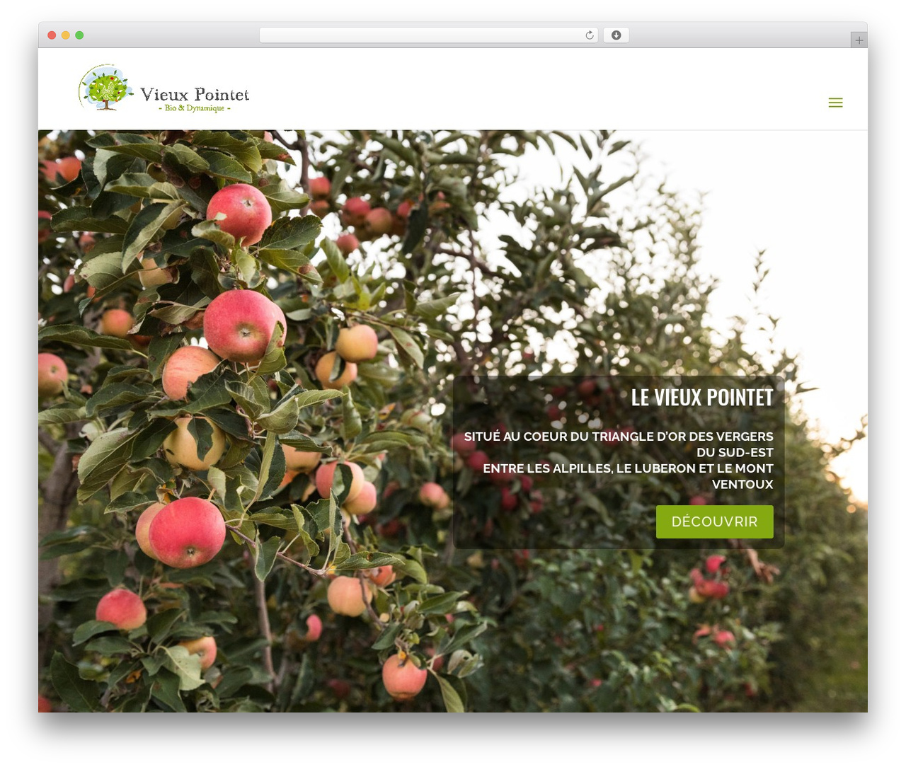 Divi theme WordPress - vieuxpointet.com