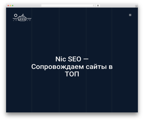 LEVELUP top WordPress theme - nic-seo.ru