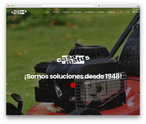 Currency per product for woocommerce WordPress plugin - casamatus.com