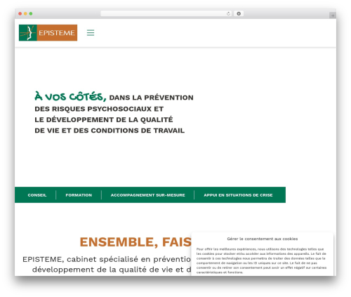 Theme WordPress Custom Theme WP - episteme.fr