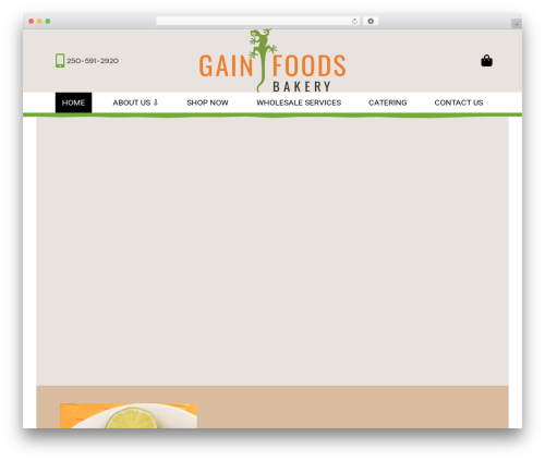 WebPilot WordPress theme - gainfoods.com