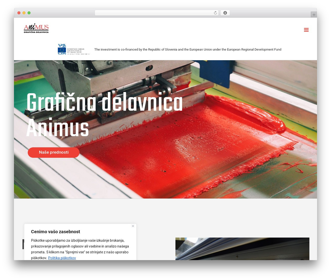 Avada Child WordPress theme - animus.si