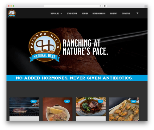 CAPTCHA 4WP (advanced-nocaptcha-recaptcha) free WordPress plugin - natural-beef.com