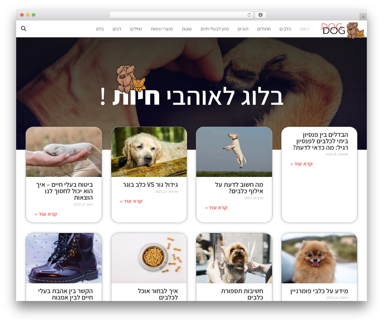 Hello Elementor WordPress theme - dogdog.co.il