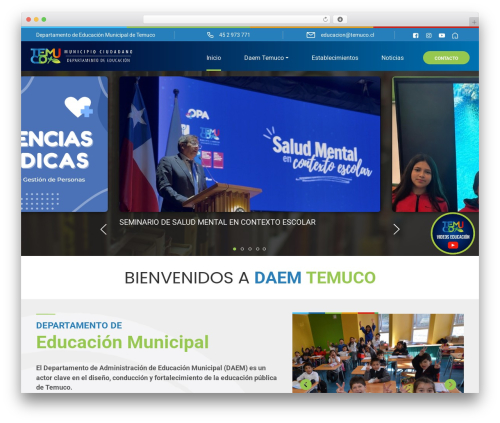 Tema top WordPress theme - daemtemuco.cl
