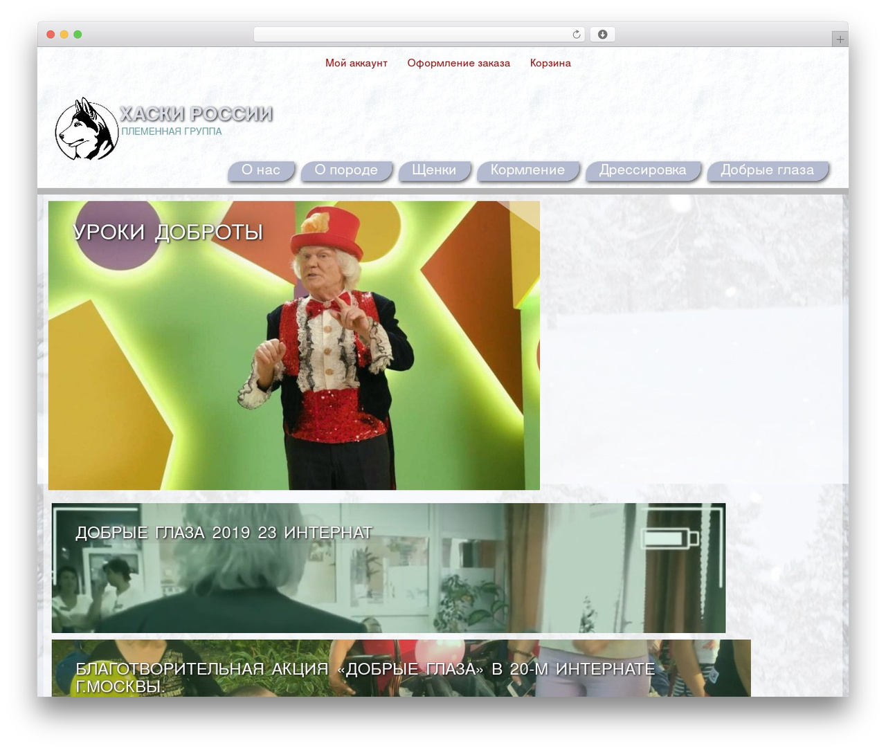 template WordPress theme - huskyrussia.ru