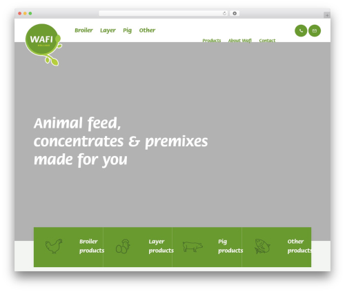 Linguise – Automatic multilingual translation (linguise) free WordPress plugin - wafi.nl
