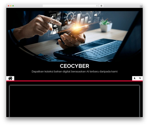Contentremover romever titles dates author WordPress plugin - ceocyber.com