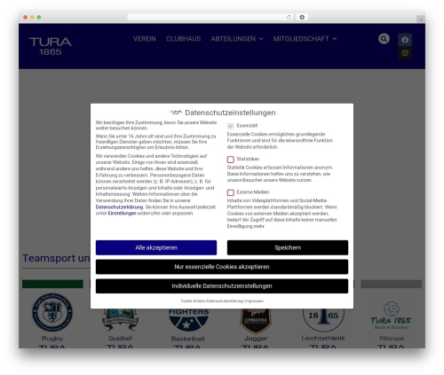 WP theme Hello Elementor - tura-braunschweig.de