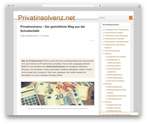 L1 social buttons WordPress plugin - privatinsolvenz.net
