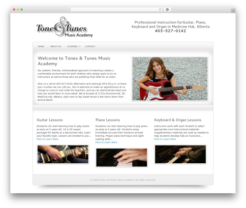 Complexity best WordPress theme - tonestunesmusic.ca