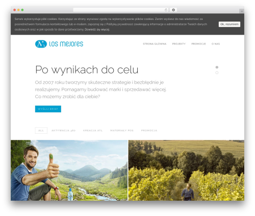 GridStack WordPress page theme - losmejores.pl
