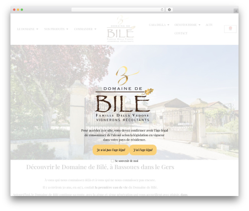Conditional Discounts for WooCommerce – a woocommerce discount plugin for woocommerce bulk discount, customer role pricing, dynamic pricing, woocommerce quantity discount, BOGO deals, free gifts and more. (woo-advanced-discounts) free WordPress plugin - domaine-de-bile.com Conditional Discounts for WooCommerce – a woocommerce discount plugin for woocommerce bulk discount, customer role pricing, dynamic pricing, woocommerce quantity discount, BOGO deals, free gifts and more. (woo-advanced-discounts) free WordPress plugin - domaine-de-bile.com