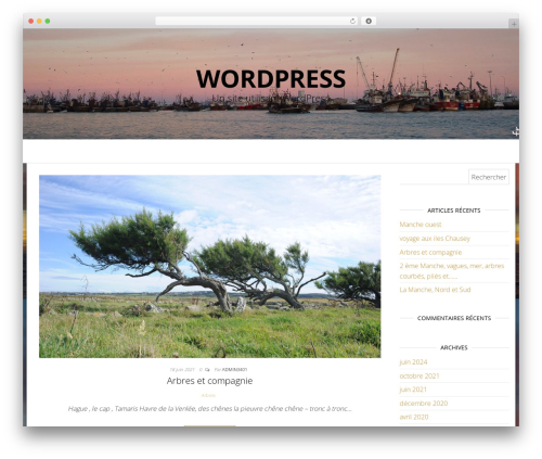 Master Blog premium WordPress theme - de-ci-de-la.fr Master Blog premium WordPress theme - de-ci-de-la.fr