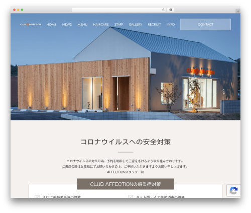 Themify Basic best WordPress theme - affe.jp