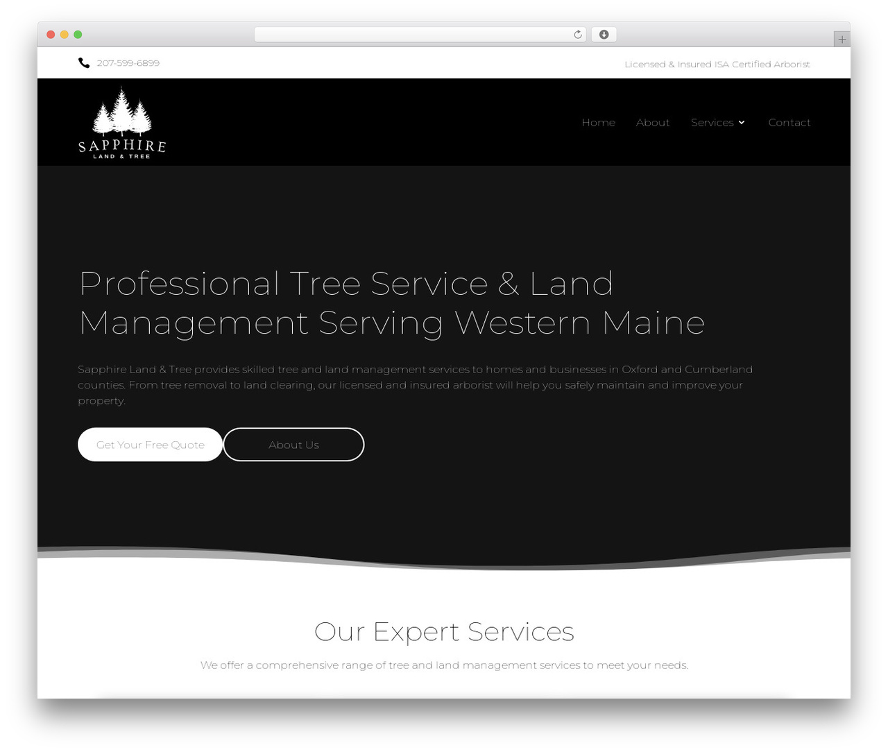 WordPress theme Divi - sapphirelandandtree.com WordPress theme Divi - sapphirelandandtree.com