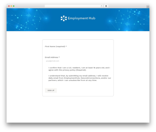 WordPress theme Divi - employmenthub.site